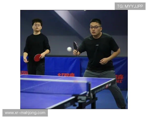 乒乓装备科技含量提升，材质与设计创新满足不同需求